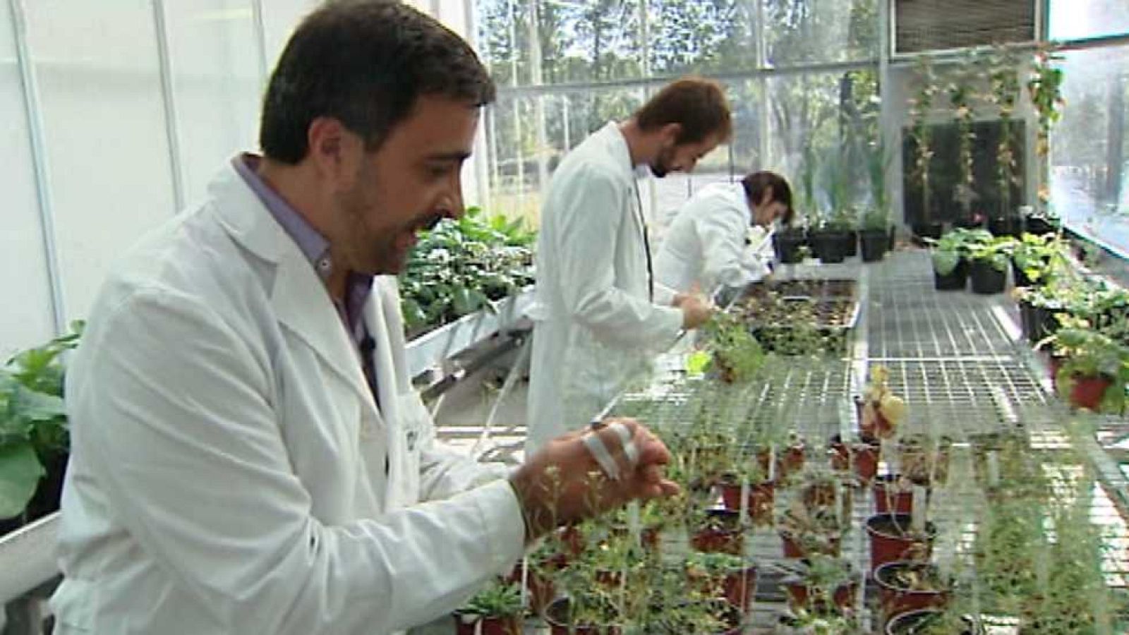 Aquí hay trabajo - 09/12/16 - ver ahora