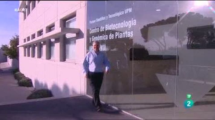 Aquí hay trabajo - Centro de Biotecnología y Genómica de Plantas
