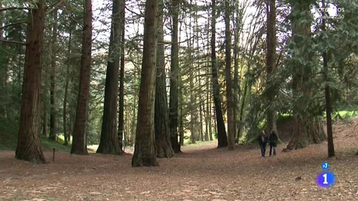 Comando Actualidad - Espinelves