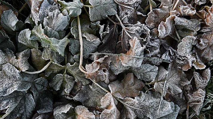 Informativo de Madrid - El Tiempo en la Comunidad de Madrid - 09/12/16