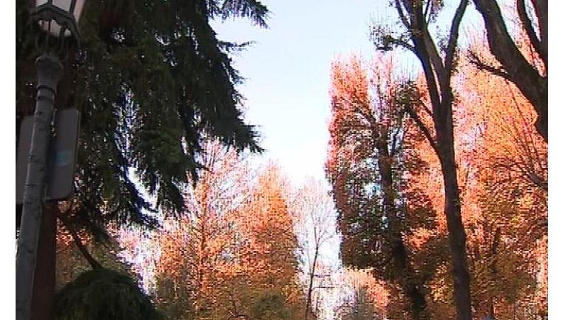 El tiempo en Asturias - 09/12/16 | Ver