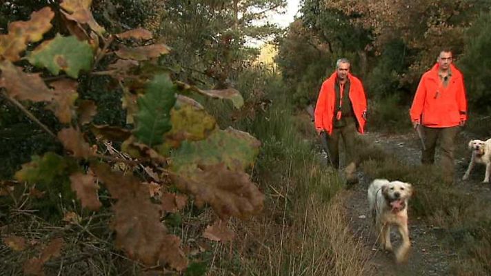 Jara y sedal - La becada de Tona