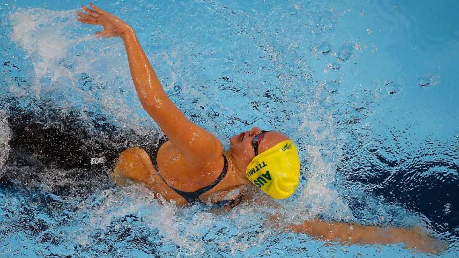 Natación - Campeonato del mundo piscina corta: sesión vespertina. Semifinales y finales - ver ahora