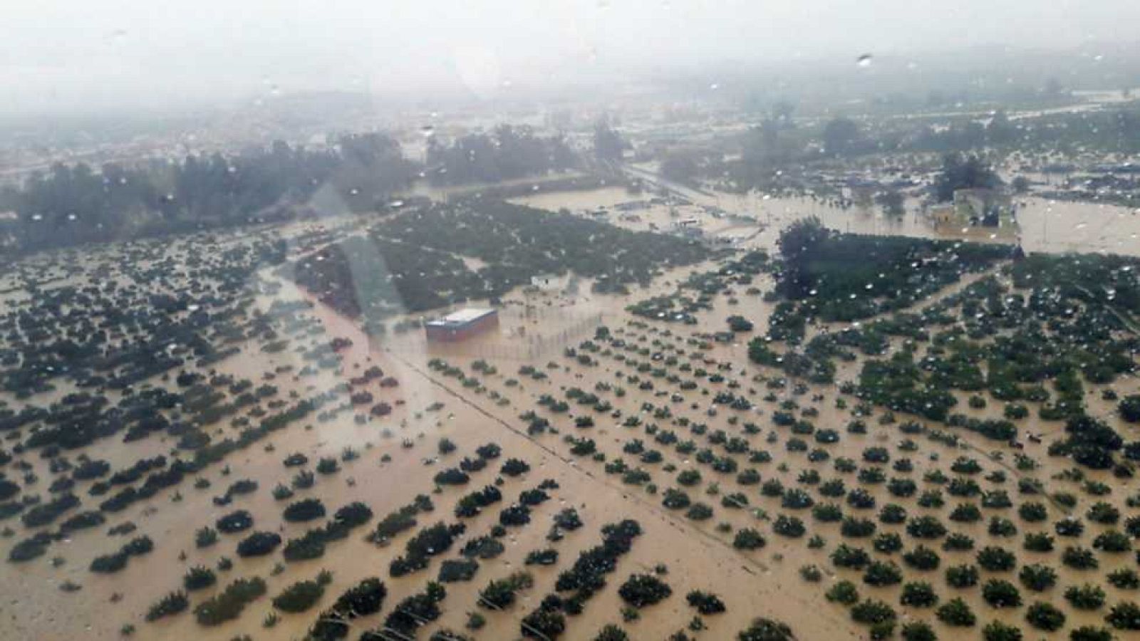 Agrosfera - 10/12/16 - ver ahora