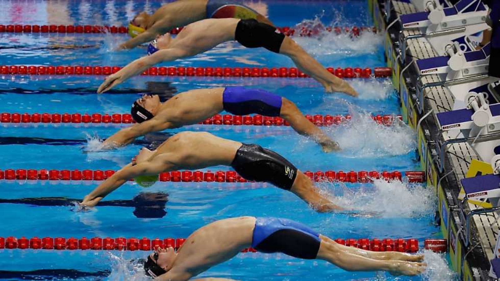 Natación - Campeonato del mundo piscina corta: sesión vespertina. Semifinales y finales - ver ahora