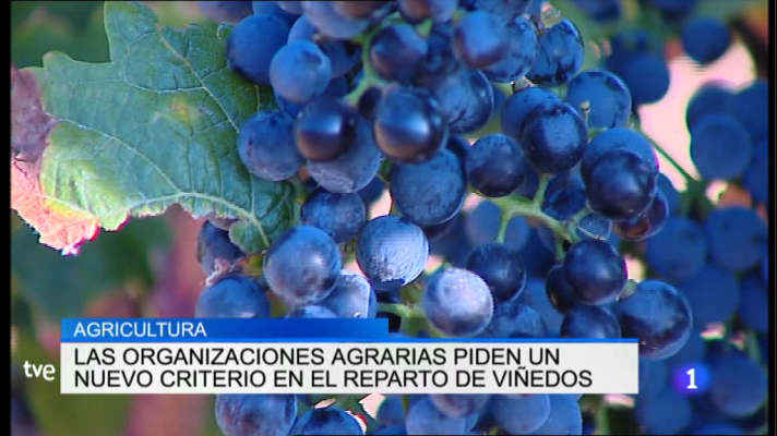 Informativo Telerioja - Informativo Telerioja -12/12/16