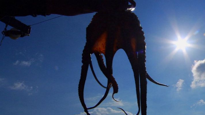 Aquí la Tierra - Pesca que es arte