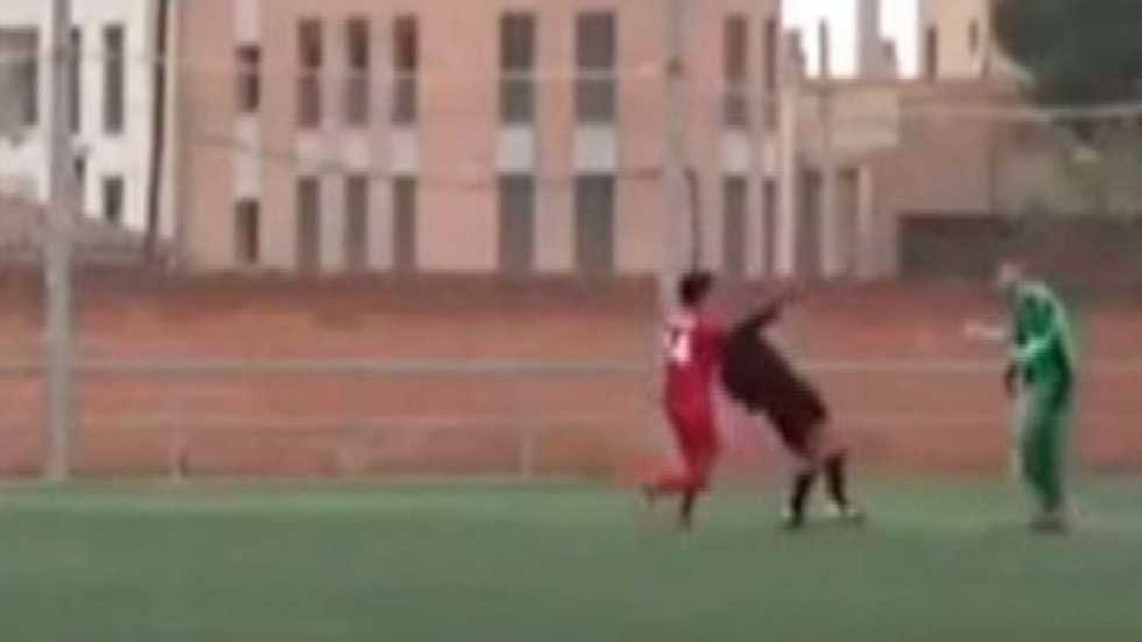 Conexión Tdp - 11/12/16 - ver ahora