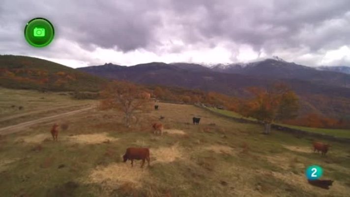 Agrosfera - Valle de ambroz, Cáceres