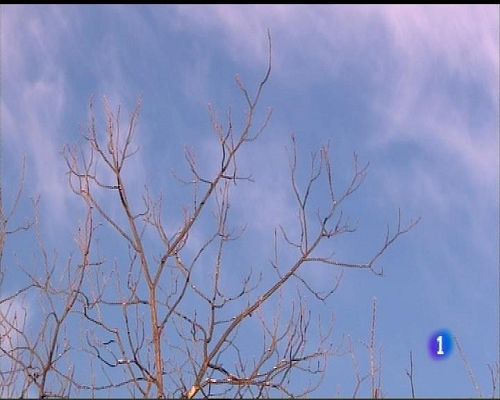 Panorama Regional - El tiempo en Asturias - 13/12/16