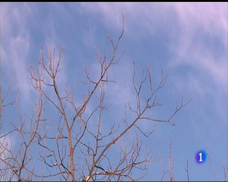 El tiempo en Asturias - 13/12/16 | Ver