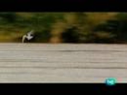 Espacios naturales - El rio de la vida