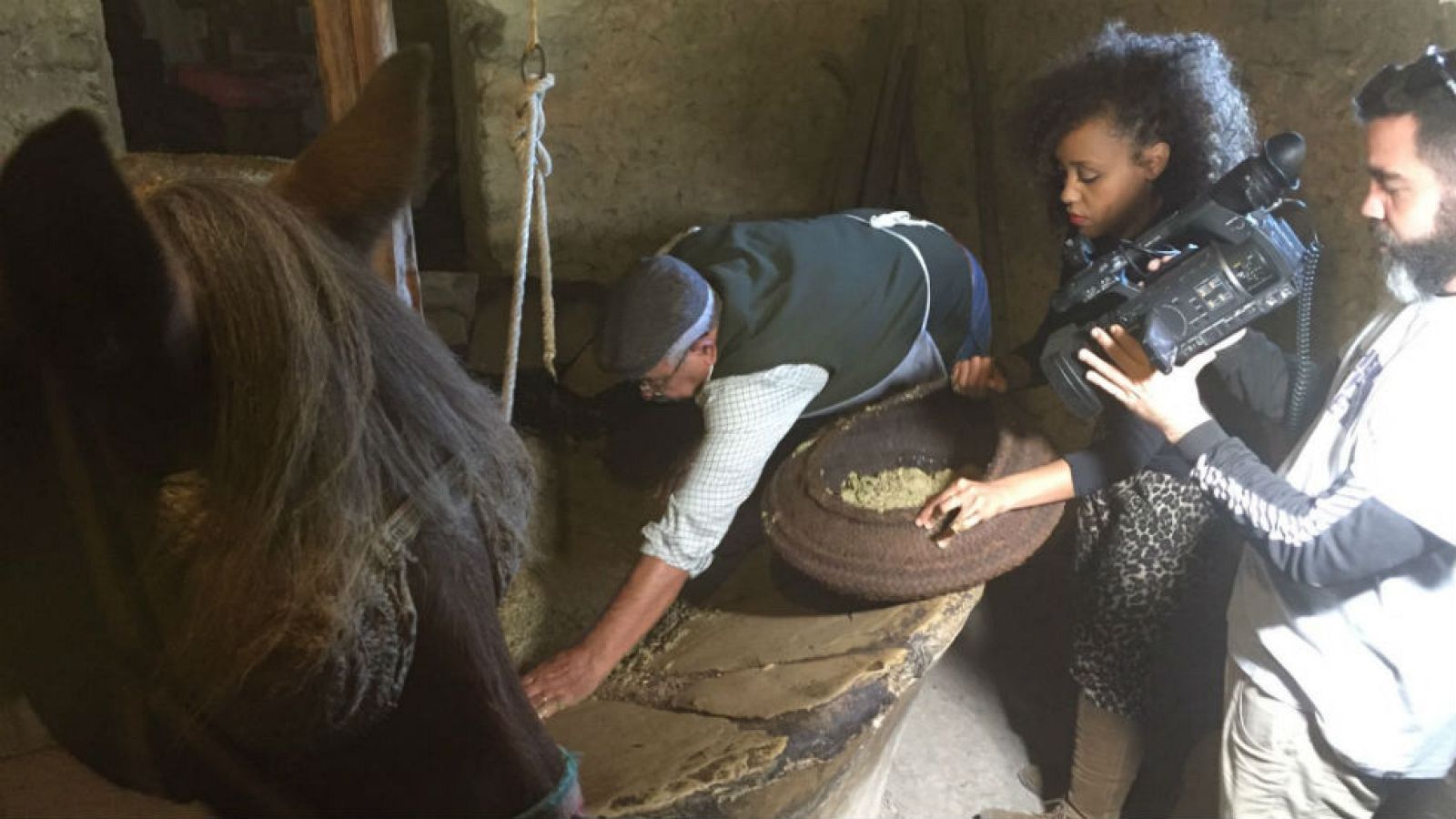 Aceite desde el corazón de Ibiza