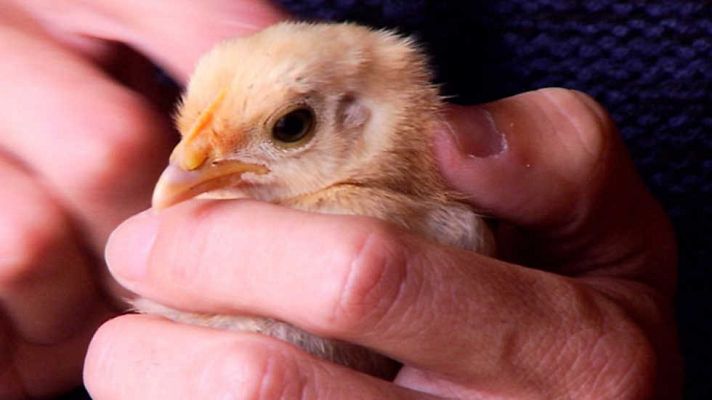 Aquí la Tierra - Aquí la Tierra - 13/12/16