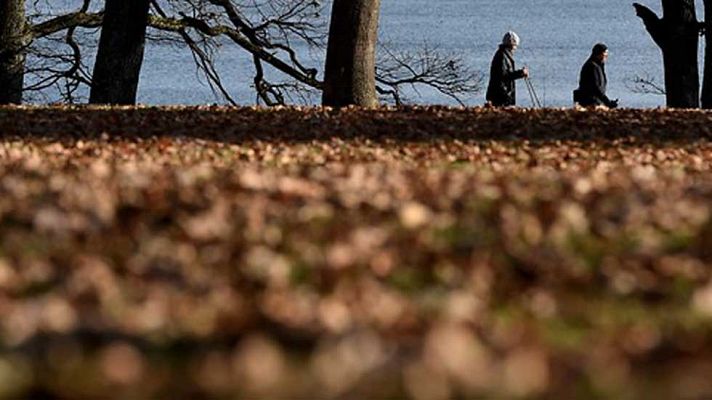 Informativo de Madrid - El Tiempo en la Comunidad de Madrid - 14/12/16