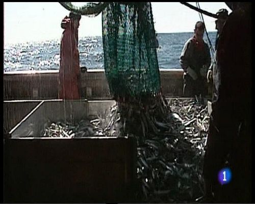 Panorama Regional - Panorama Regional 2 - 14/12/16