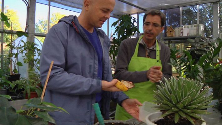 Aquí la Tierra - ¡Las plantas también quieren abrigarse!