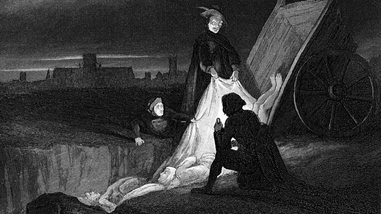 Otros documentales - Animales que cambiaron la historia: Las plagas - ver ahora