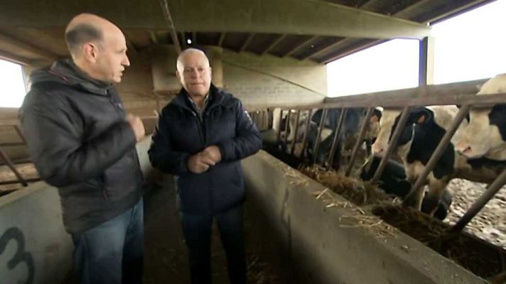 El escarabajo verde - Un magro dilema (I)