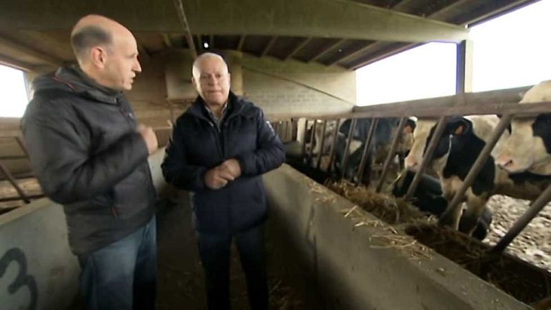 El escarabajo verde - Un magro dilema (I)