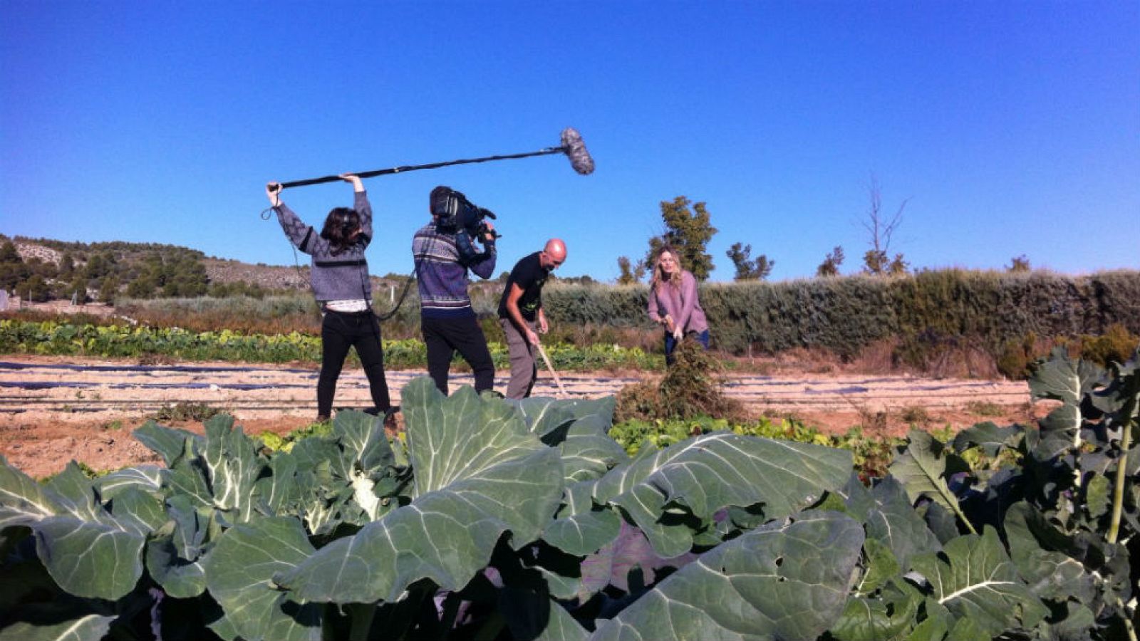 La huerta de invierno