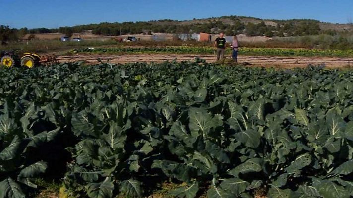Aquí la Tierra - Aquí la Tierra - 16/12/16