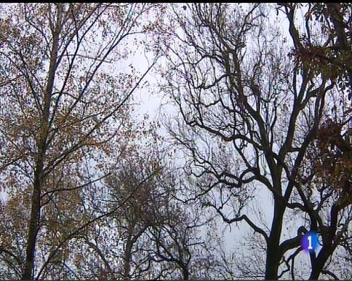 Panorama Regional - El tiempo en Asturias - 19/12/16