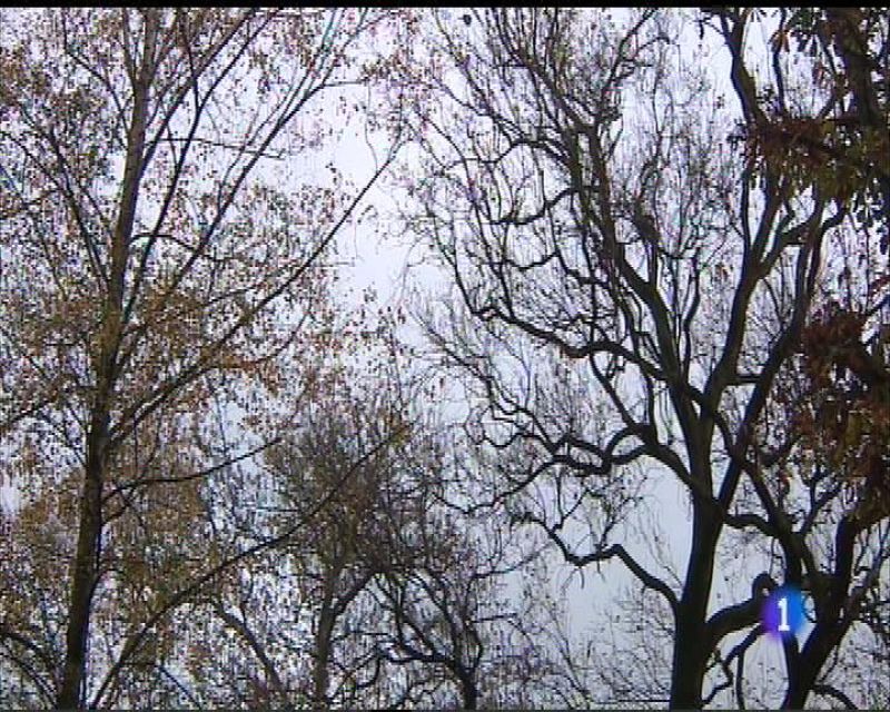 El tiempo en Asturias - 19/12/16 | Ver