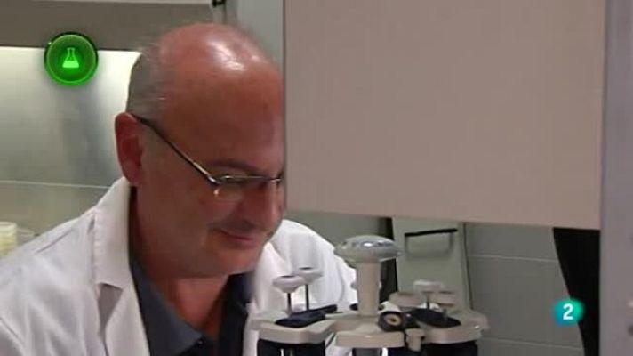 Agrosfera - CRISPR-CAS9