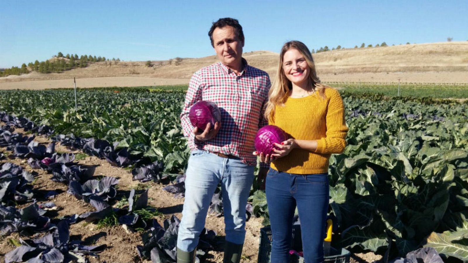 Lombarda, miss navidad