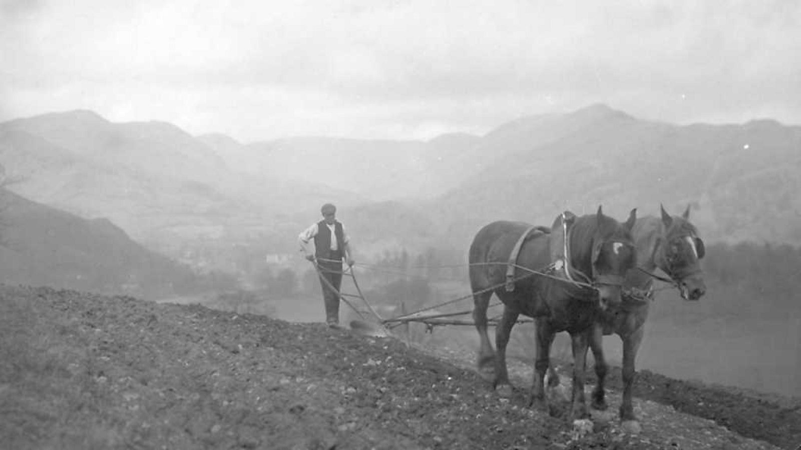 Otros documentales - Animales que cambiaron la Historia: Bestias de carga - ver ahora