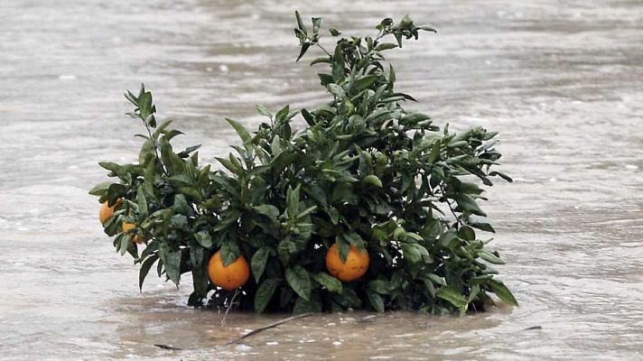 L'informatiu - Comunitat Valenciana - La Comunidad Valenciana en 2' - 20/12/16