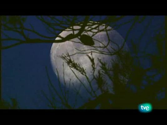 Jara y sedal - Compañeros de media veda