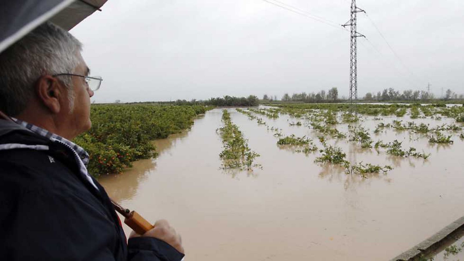 L'Informatiu - Comunitat Valenciana 2 - 20/12/16 - ver ahora