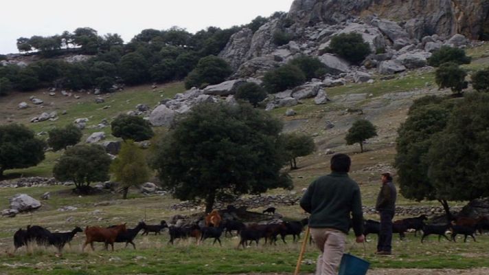 Aquí la Tierra - Fueron felices, comieron perdices ¡y mucho queso!
