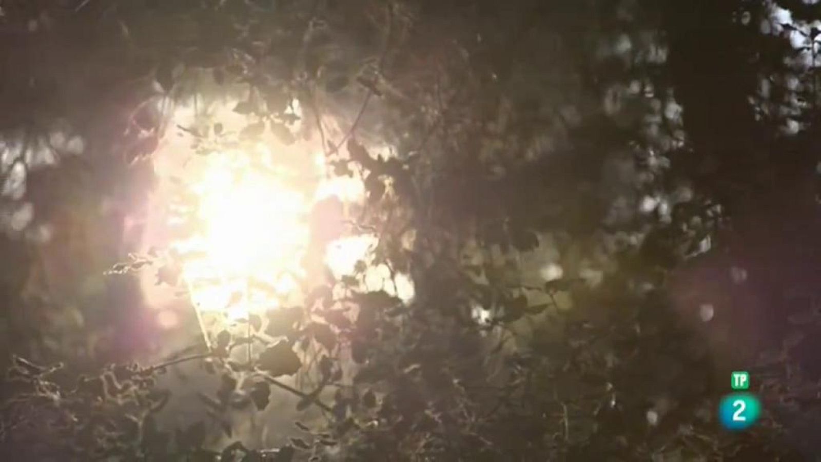 Página Dos - Las recomendaciones del programa