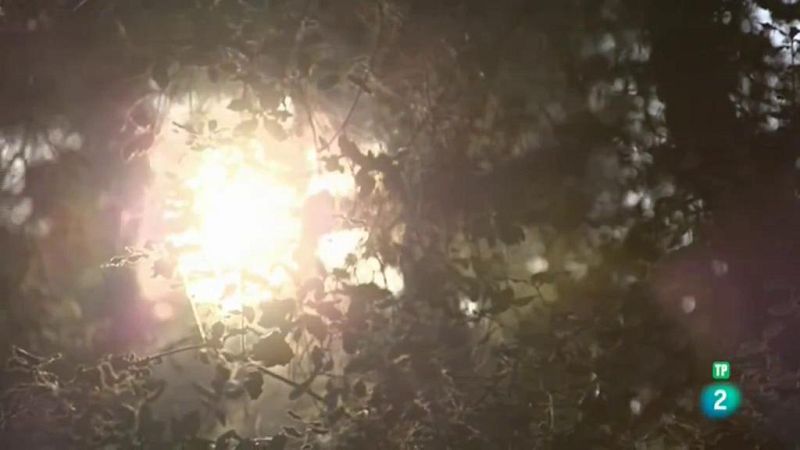 Página Dos - Las recomendaciones del programa