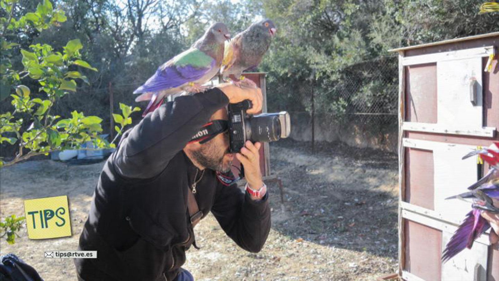 TIPS - Fotografía - Ricardo Cases