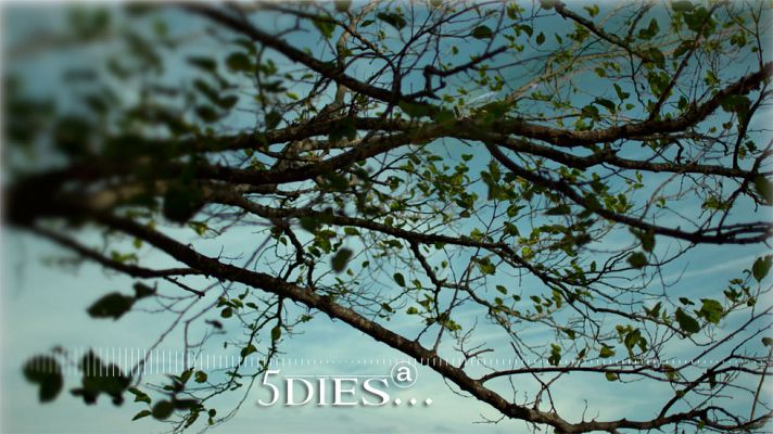 Cinc dies a... - Cinc dies a...- Careta