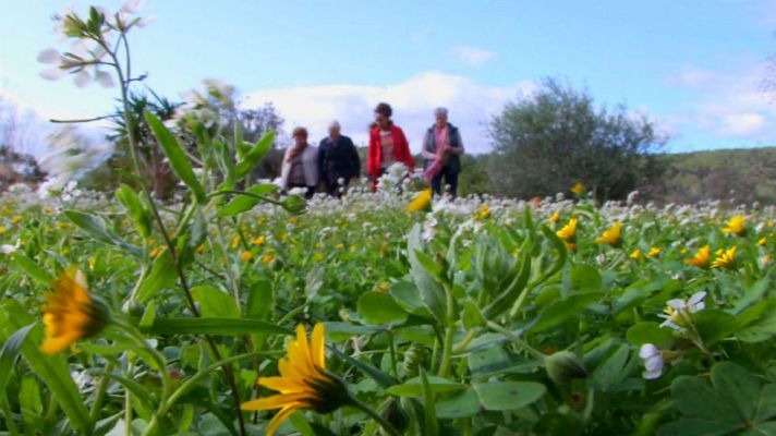 Aquí la Tierra - Las detectoras de plantas