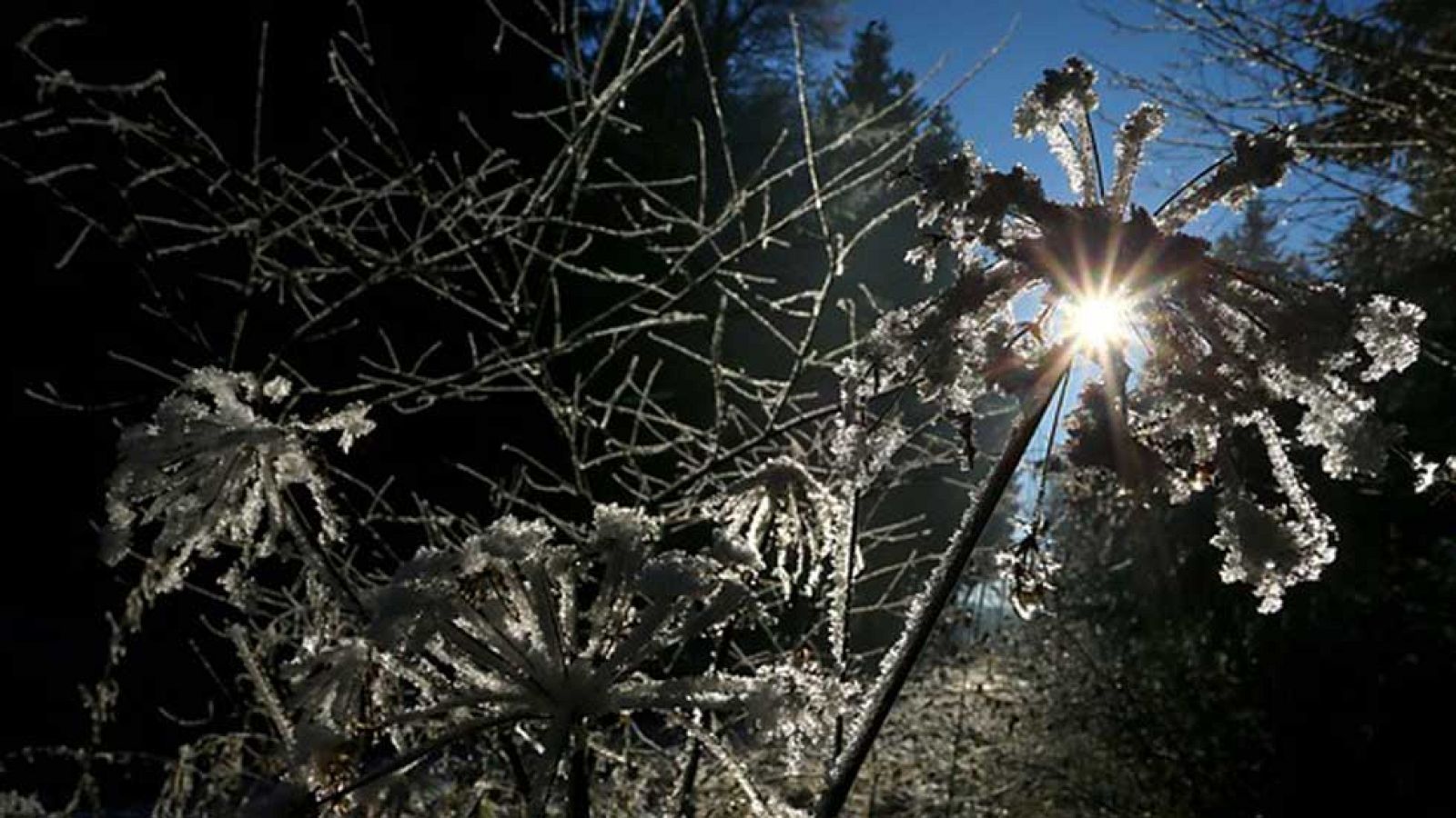 El Tiempo en la Comunidad de Madrid - 22/12/16