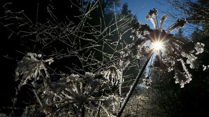Informativo de Madrid - El Tiempo en la Comunidad de Madrid - 22/12/16