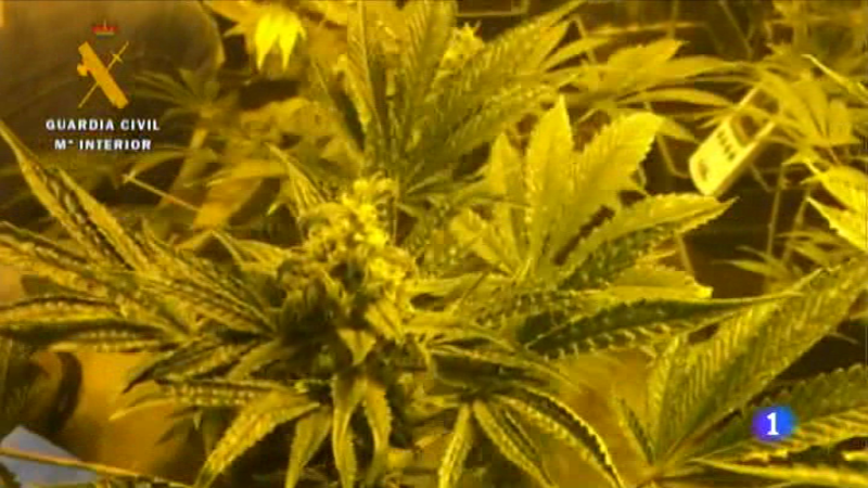 Informativo Telerioja 2 - 23/12/16 | Ver