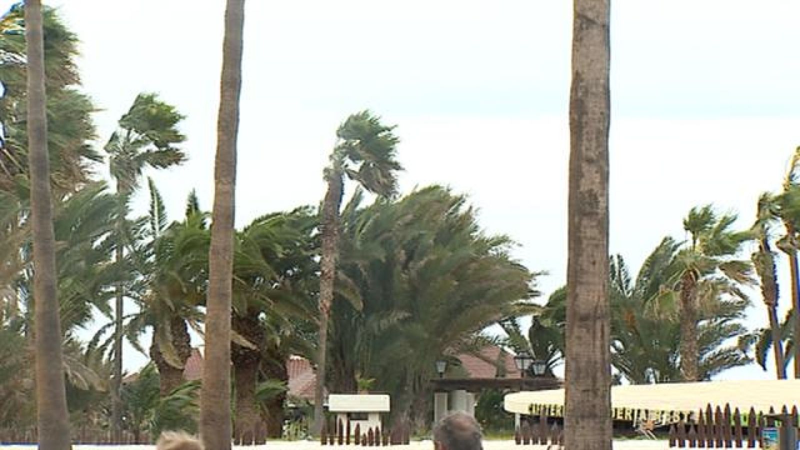 Telecanarias - 23/12/2016