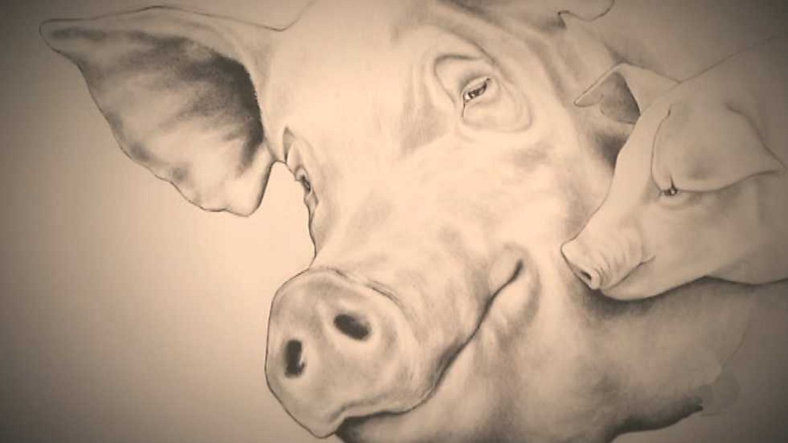 El escarabajo verde - Un magro dilema (II) - ver ahora