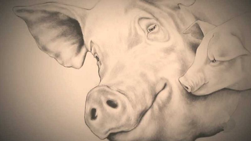 El escarabajo verde - Un magro dilema (II) - ver ahora