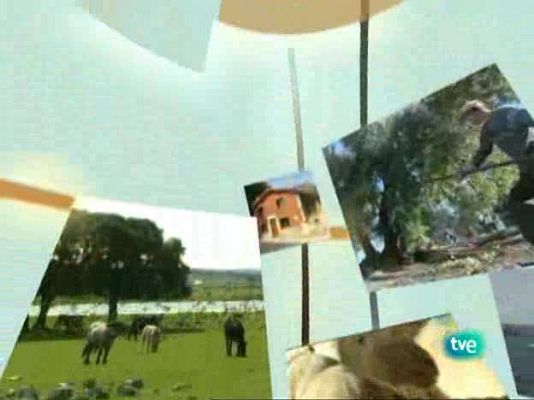 Agrosfera - Agrosfera - 17/01/09