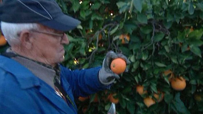 Agrosfera - Agrosfera - 24/12/16