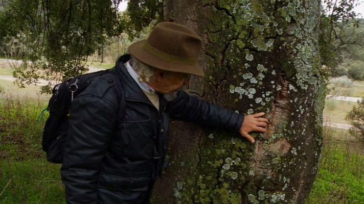 Aquí la Tierra - El alcornoque, un aliado de la salud