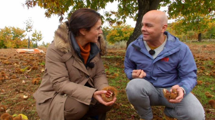 Aquí la Tierra - Castañas tardías